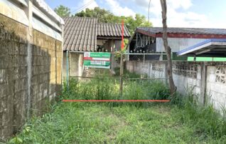 ทรัพย์ธนาคารโดย KASIKORNBANK บ้านเดี่ยว  ถนนมะลิวัลย์ (ทล.12)
