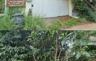 ทรัพย์สถาบันโดย GHB บ้านเดี่ยว น้ำผึ้งแลนด์ 5 (Baan Namphueng Land 5)