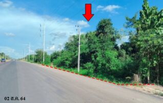 ทรัพย์สถาบันโดย บริษัท บริหารสินทรัพย์สุขุมวิท จำกัด ที่ดิน ถนนโพนพิสัย-โซ่พิสัย (ทล.2267)