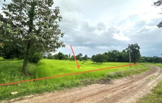 ทรัพย์สถาบันโดย KASIKORNBANK ที่ดิน ถนนสายเดชอุดม-บ้านนาโพธิ์(อบ.4031)