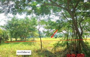 ทรัพย์สถาบันโดย KASIKORNBANK ที่ดิน ถนนสายเลี่ยงเมืองลำพูน-ป่าซาง(ทล.116)