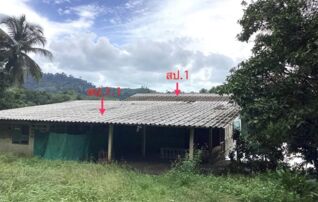 ทรัพย์ธนาคารโดย KASIKORNBANK บ้านเดี่ยว ถนนสายบ้านบางม่วง-บ้านปางอับ