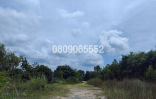 ขายที่ดิน นอกโครงการมหาสารคาม