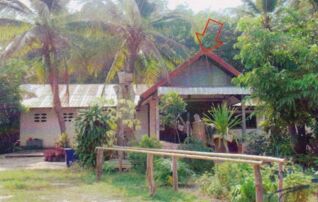 ทรัพย์สถาบันโดย GHB บ้านเดี่ยว ดงขวาง