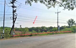 ทรัพย์ธนาคารโดย KASIKORNBANK ที่ดิน ถนนสายไชยา - ทุ่งนางเภา (ทล.4191)