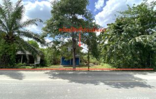 ทรัพย์ธนาคารโดย KASIKORNBANK บ้านเดี่ยว ถนนสายบ้านสองแพรก - เจดีย์หลวงพ่อท่านคล้าย