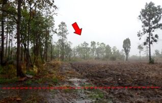 ทรัพย์สถาบันโดย บริษัท บริหารสินทรัพย์สุขุมวิท จำกัด ที่ดิน ถนนสายบ้านยางบ่า-โคกสูง (ชย.4077)