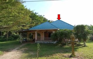 ทรัพย์สถาบันโดย GHB บ้านเดี่ยว ถนนสายบ้านไร่ออก - บ้าน