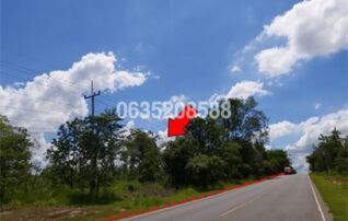 ขายที่ดิน ถนนสายชัยภูมิ-หนองบัวแดง (ทล.2159)