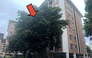 ทรัพย์สถาบันโดย GHB คอนโด บี คอนโด บางนา (B Condo Bangna)