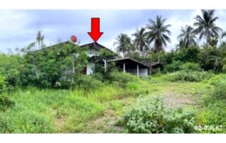 ทรัพย์สถาบันโดย บริษัท บริหารสินทรัพย์สุขุมวิท จำกัด บ้านเดี่ยว ถนนเพชรเกษม (ทล.4)
