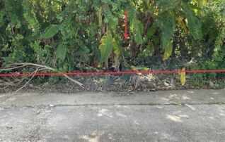 ทรัพย์ธนาคารโดย KASIKORNBANK ที่ดิน ซอยรอบเมือง 3 ถนนรอบเมือง
