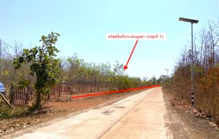 ทรัพย์สถาบันโดย KASIKORNBANK ที่ดิน ถนนสายบ้านดอนแดงน้อย - บ้านโพธิ์ตาก