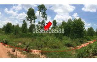 ขายที่ดิน ถนนสายบ้านโป่งคองเหนือ-บ้านเขว้า (ชย.3007)