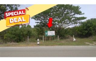 ทรัพย์สถาบันโดย บริษัท บริหารสินทรัพย์สุขุมวิท จำกัด ที่ดิน ถนนสายบ้านโพธิ์พระยา-บ้านกล้วย (ทล.3507)