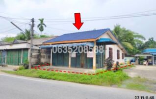 ขายบ้านเดี่ยว ถนนสายถ้ำพรรณรา-ทุ่งสง (ทล.41)