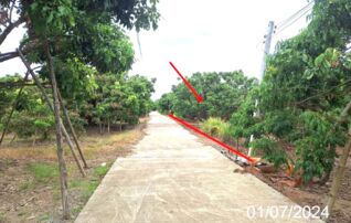 ทรัพย์ธนาคารโดย KASIKORNBANK ที่ดิน ถนนสายบ้านต้นผึ้ง - บ้านวังสะแกง (ชม.3003)