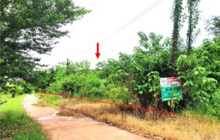 ทรัพย์ธนาคารโดย KASIKORNBANK ที่ดิน ถนนสายวังกระพี้-พิชัย(ทล.117)