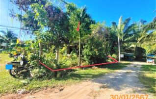 ทรัพย์ธนาคารโดย KASIKORNBANK บ้านเดี่ยว ถนนสายศาลาด่าน ทุ่งหยีเพ็ง