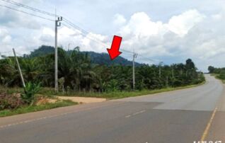 ทรัพย์สถาบันโดย บริษัท บริหารสินทรัพย์สุขุมวิท จำกัด ที่ดิน ถนนสายกระบี่-ขนอม (ทล.44)