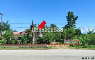 ขายบ้านเดี่ยว ถนนสายหนองคาย-บึงกาฬ (ทล.212)