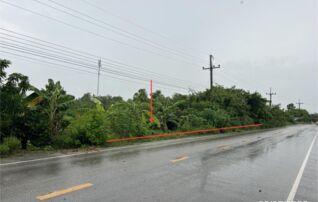 ทรัพย์ธนาคารโดย KASIKORNBANK ที่ดิน ถนนสายบ้านสามแยก - บ้านเกาะลำใย