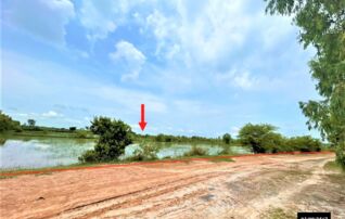 ทรัพย์ธนาคารโดย KASIKORNBANK ที่ดิน ถนนสายศรีสงคราม - อากาศอำนวย (นพ.2177)
