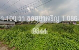 ขายที่ดินเปล่า เขตหนองแขม 100 ตร.วา 2 แปลง ซอยเพชรเกษม 81 (มาเจริญ 1) ใกล้ม.เอเชียอาคเนย์ : เจ้าของขายเอง (งดรับนายหน้า)