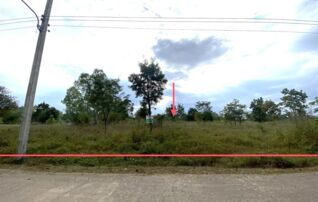 ทรัพย์ธนาคารโดย KASIKORNBANK ที่ดิน ถนนสายวังสะพุง - อุดรธานี (ทล.210)