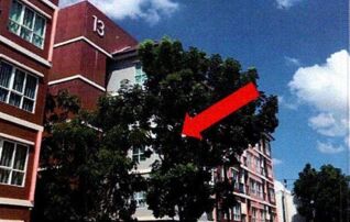 ทรัพย์สถาบันโดย GHB คอนโด ไมอามี่ บางปู (Miami Bangpu)