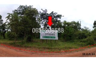 ขายที่ดิน ถนนสายชัยภูมิ-หนองบัวแดง (ทล.2159)