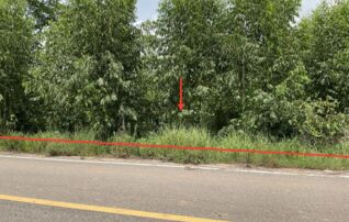ทรัพย์ธนาคารโดย KASIKORNBANK ที่ดิน ถนนทางหลวงแผ่นดินสายแยก ทล.12-เขื่อนลำปาว (ทล.2416)