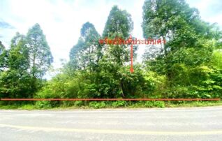 ทรัพย์ธนาคารโดย KASIKORNBANK ที่ดิน ถนนสายบ้านนา-หาดสำราญ-ปากปรน(ทล.4235)