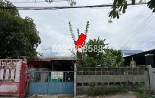 ขายบ้านแฝด เทพทิพย์นิเวศน์ 2