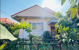ทรัพย์สถาบันโดย ธอส. บ้านเดี่ยว พยัคฆภูมิพิสัย มหาสารคาม