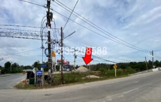 ขายที่ดิน ถนนสายรามัน-ลาโต๊ะหะลอ (ทล.4066)