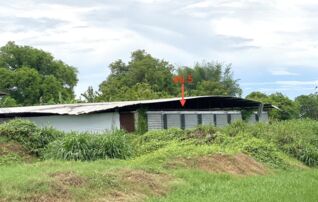 ทรัพย์ธนาคารโดย KASIKORNBANK โกดัง/โรงงาน ซอยทางเข้าวัดบ่อสำราญ ถนนสายหนองหลอด - หนองสานแตร (สพ.3024)