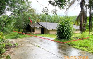 ทรัพย์ธนาคารโดย KASIKORNBANK บ้านเดี่ยว ถนนเพชรเกษม (ทล.4)