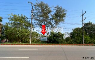 ขายที่ดิน ถนนแม่จัน-เชียงแสน (ทล.1016)