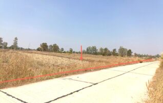 ทรัพย์ธนาคารโดย KASIKORNBANK ที่ดิน ถนนเข้าบ้านหนองคู