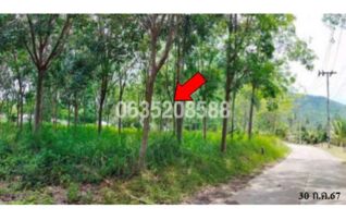ขายที่ดิน ถนนสายตลิ่งงาม-ทะเล-หัวถนน (ทล.4170)