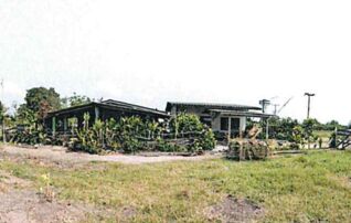ทรัพย์สถาบันโดย GHB บ้านเดี่ยว ถนนเพชรเกษม-หนองพังพวย