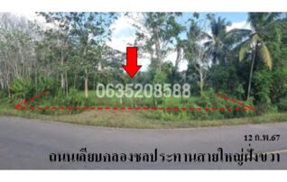 ขายที่ดิน ถนนเลียบคลองชลประทานสายใหญ่ฝั่งขวา