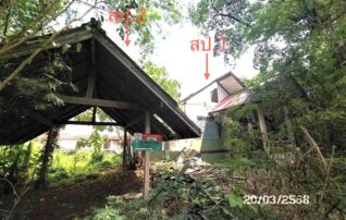 ทรัพย์ธนาคารโดย KASIKORNBANK บ้านเดี่ยว ถนนพ่อขุนทะเล