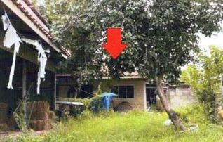 ทรัพย์สถาบันโดย GHB บ้านเดี่ยว ซอยทางเข้าชุมชนบ้านคอกค ถนนสายน้ำพอง-เชียงยืน(ข