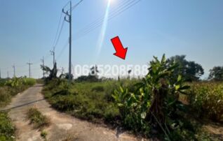 ขายที่ดิน ถนนสายแม่สาย-เชียงแสน (ทล.1290)