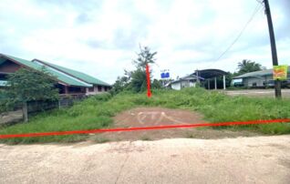 ทรัพย์ธนาคารโดย KASIKORNBANK ที่ดิน ถนนสายบ้านโนนสมบูรณ์-บ้านนาสวรรค์ (บก.4001)