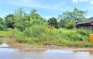 ทรัพย์ธนาคารโดย KASIKORNBANK ที่ดิน ถนนสายบึงกาฬ-บ้านพันลำ (นค.4067)