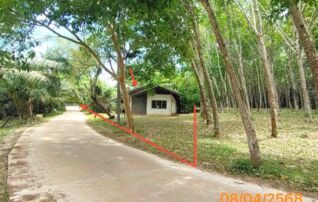 ทรัพย์ธนาคารโดย KASIKORNBANK บ้านเดี่ยว ถนนสายนาเหนือ - น้ำผุด