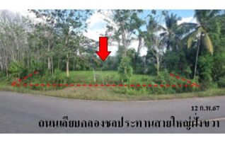 ทรัพย์สถาบันโดย บริษัท บริหารสินทรัพย์สุขุมวิท จำกัด ที่ดิน ถนนเลียบคลองชลประทานสายใหญ่ฝั่งขวา